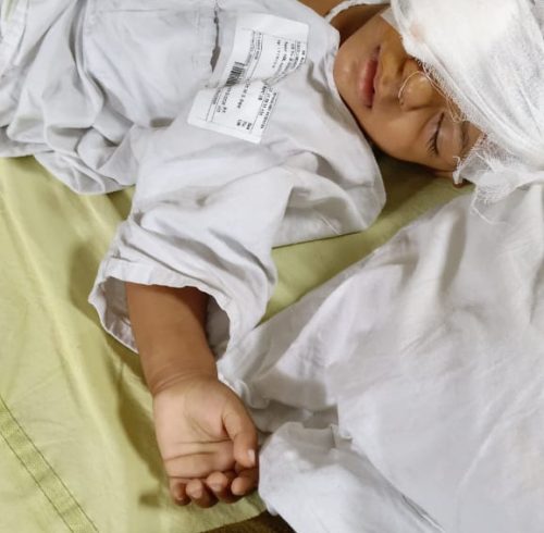 WhatsApp Image 2026-02-11 at 10.08.41